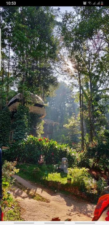 Tree Top Jungle Jive — Hotel in Munnar