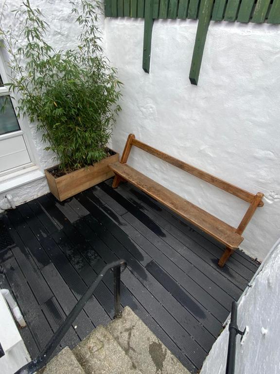 Cheerful One Bedroom Cottage in Mousehole photo 6
