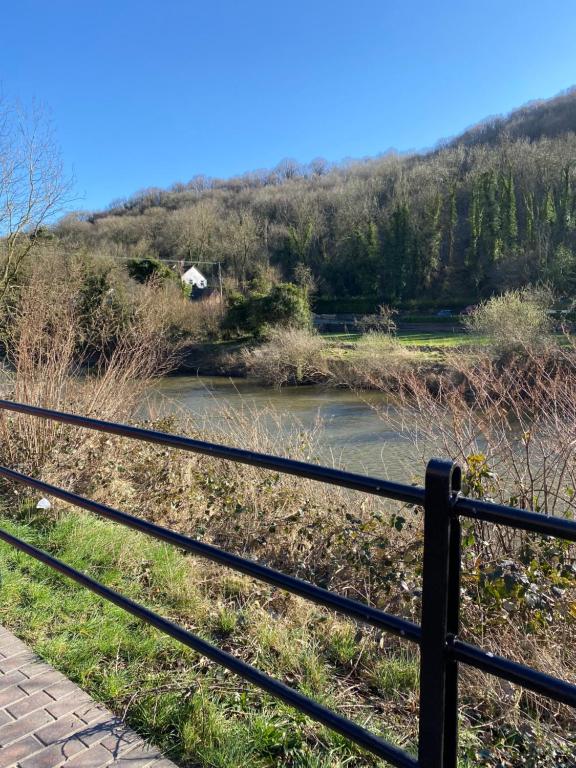 Sedgwick at Hodge Bower, Ironbridge photo 6