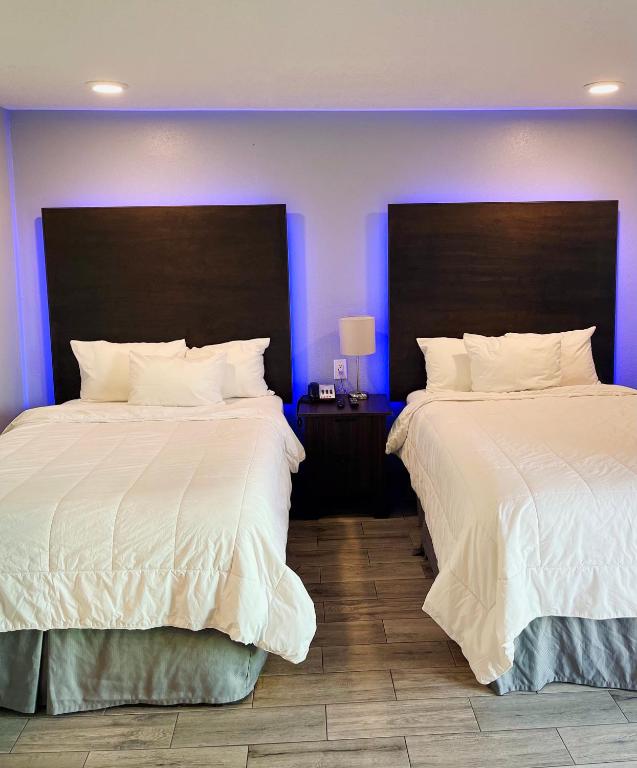 Celebration Suites — Hotel rooms in Kissimmee, Florida