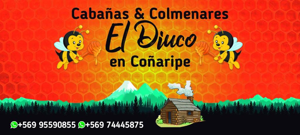 Cabañas El Diuco en Coñaripe 1 - 2
