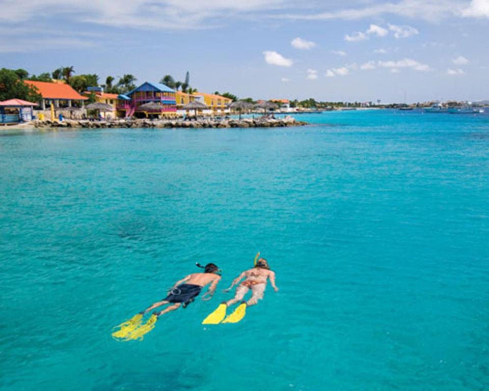 Divi Flamingo Beach Resort And Casino Photo 17