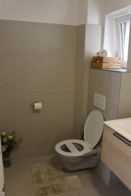 Apartmany Stribro photo