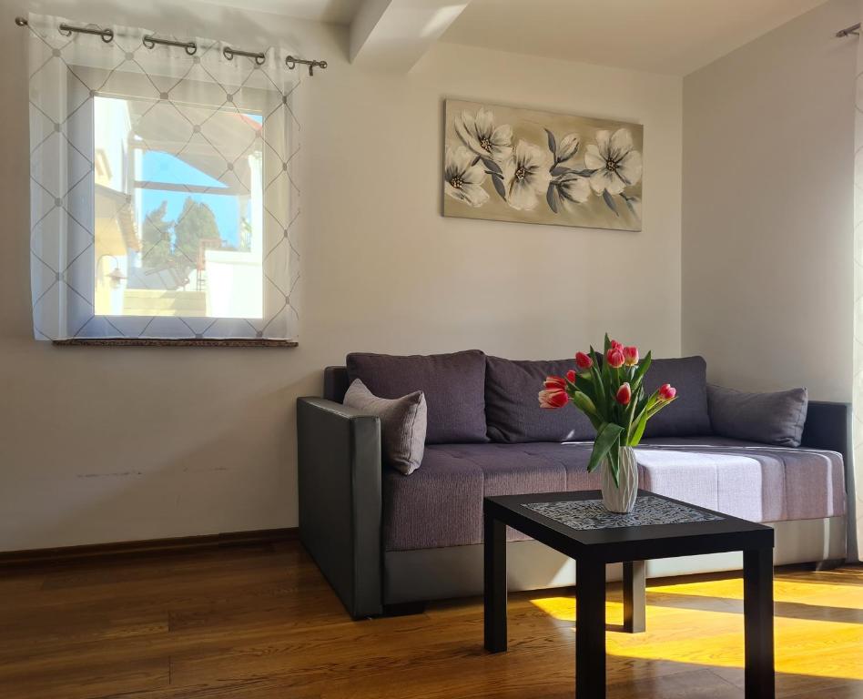Apartment Bepi and Ela photo