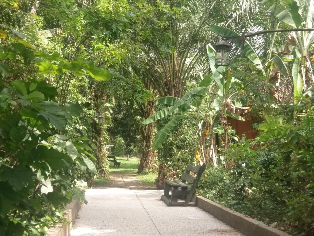 Big Foot Safari Lodge photo