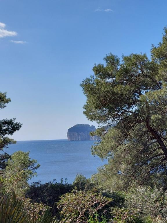 Surrounding environment