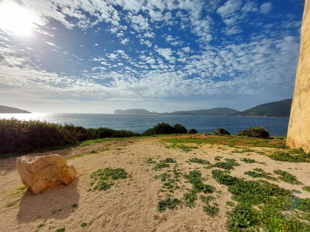 Surrounding environment