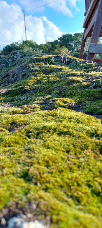 Surrounding environment