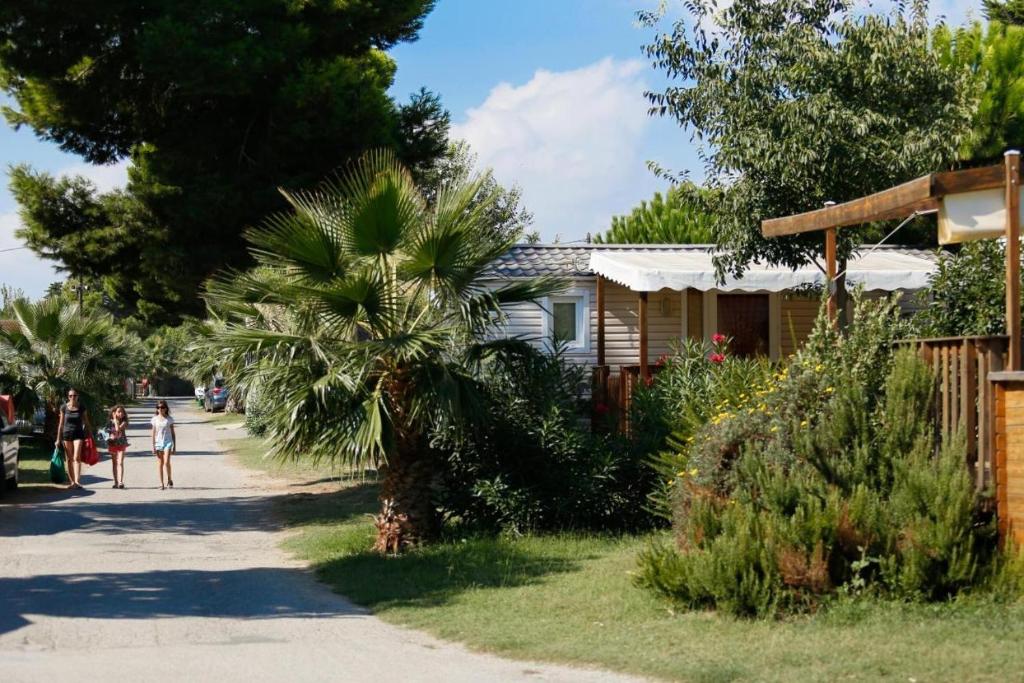 MOBIL-HOME 3CH 34 m2 à SAINT-CYPRIEN - 2