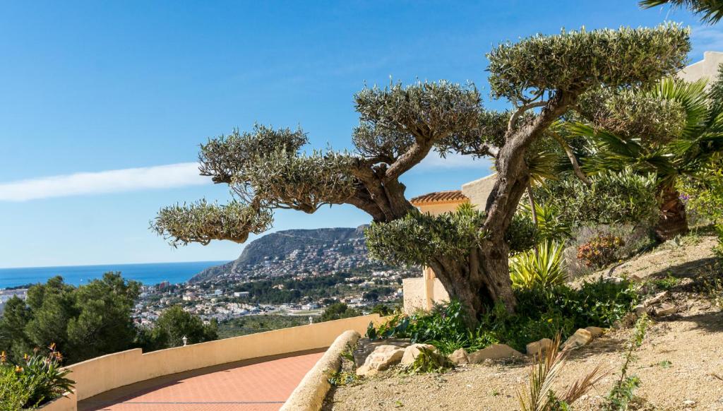Villa Aguila - Calp - 4