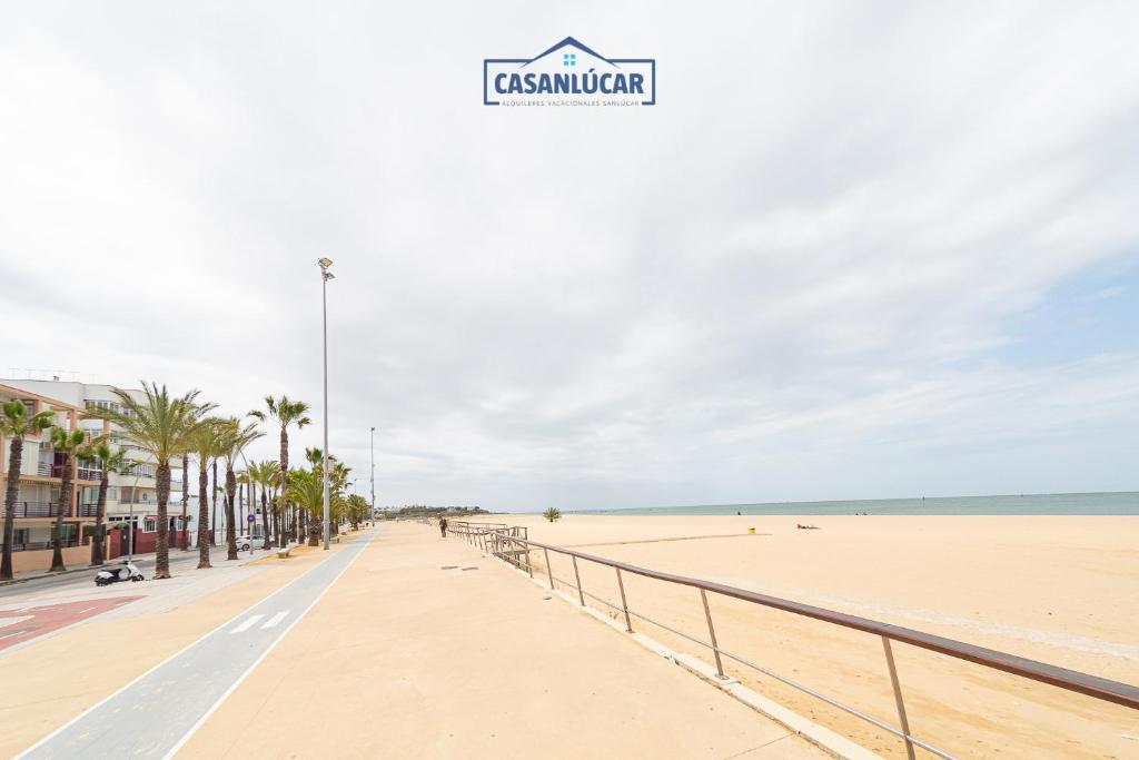Parque Doñana - 4