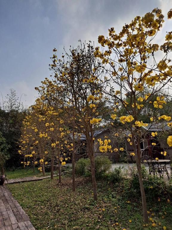 Surrounding environment