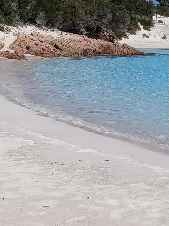 Scugnizza Smeralda photo