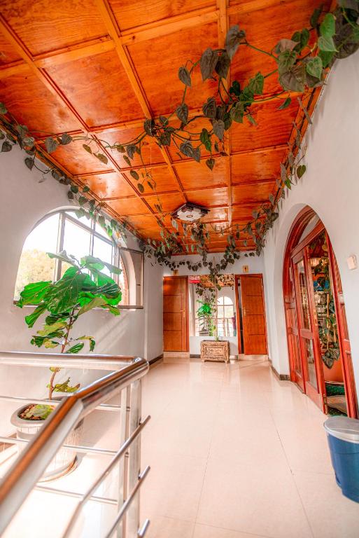 Ras Amba Hotel ラウンジ