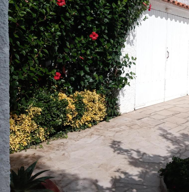 Nice and relax Mediterranean villa with free wifi - 5