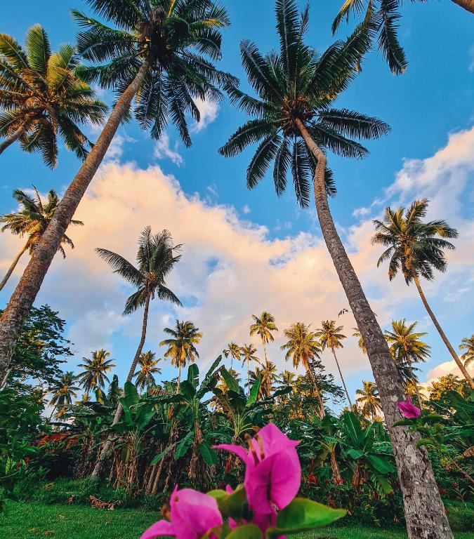 Surrounding environment