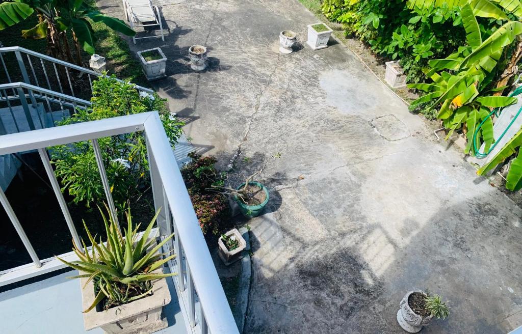 Ocean View Apartments photo