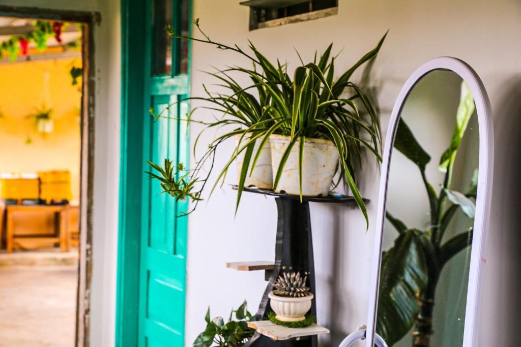 Chocolate Home — Hotel in Dalat