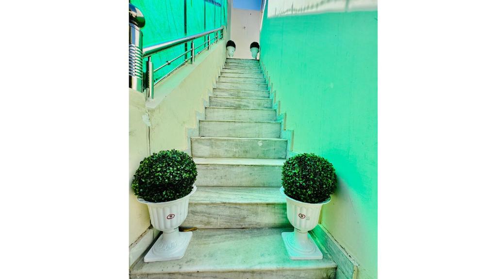 hostel ivory photo