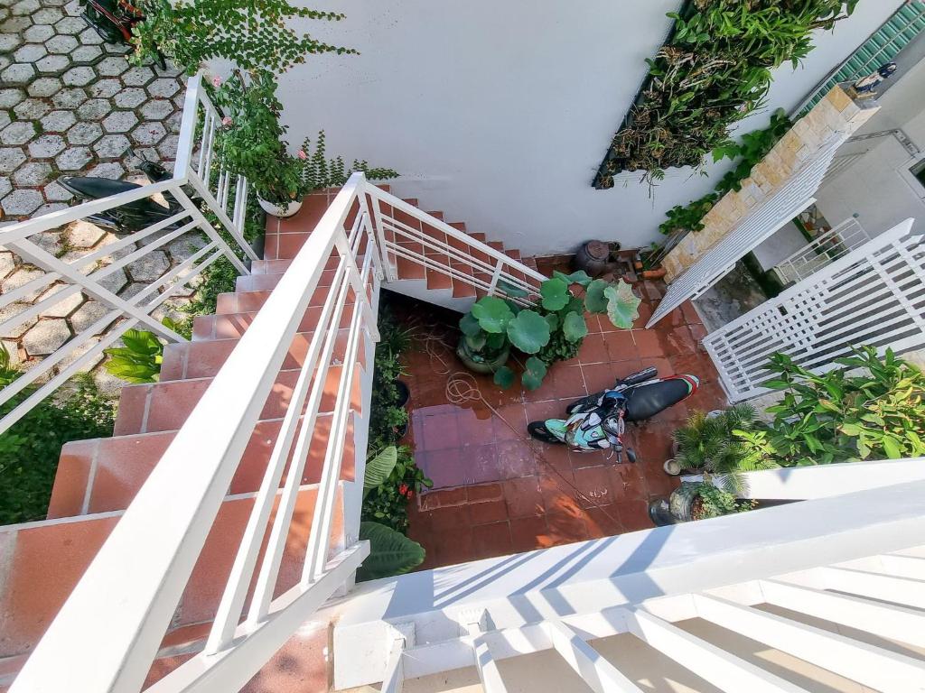 HomeStay Sen Biển HomeStay Sen Biển