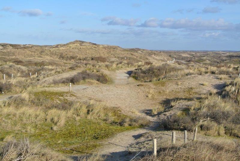Zeelicht photo