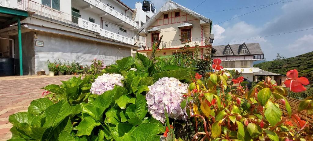 ChandraSobana, Nuwara Eliya