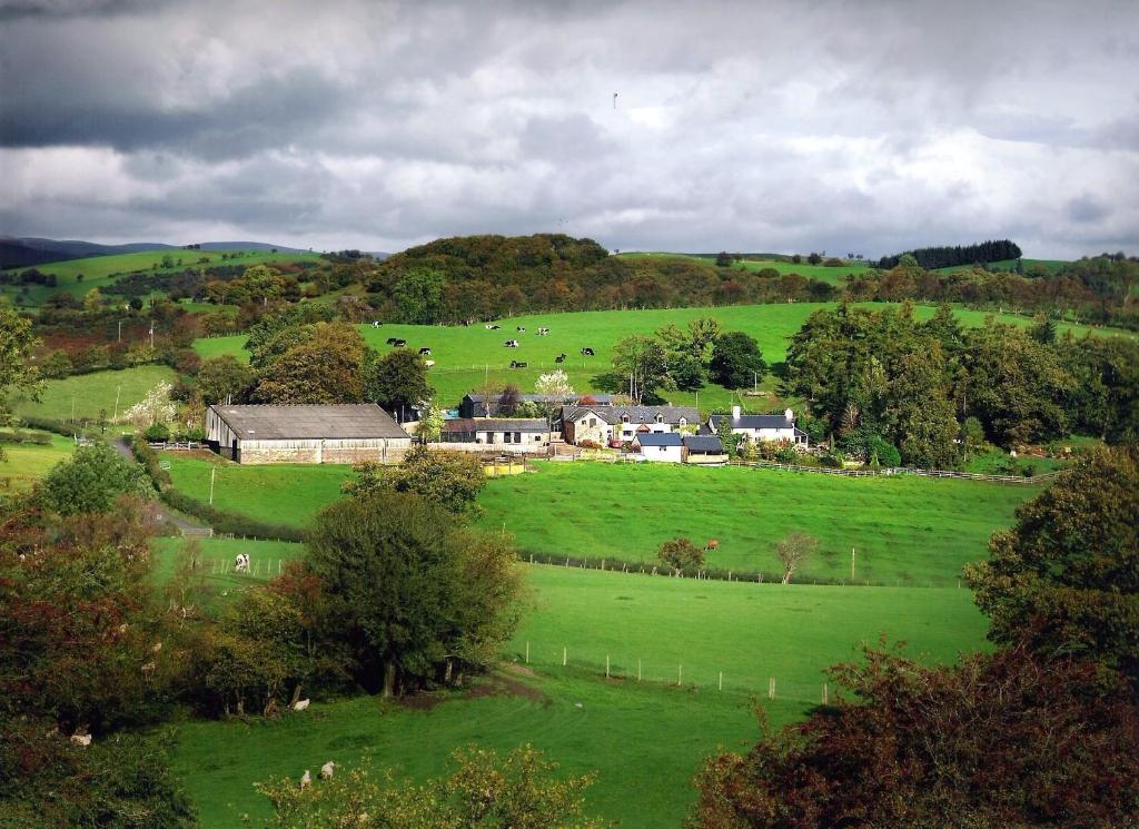 Sheep Dip Cottage, Cyfie Farm photo 8