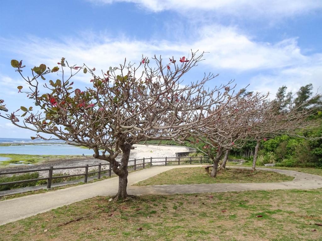 Minshuku Itoman Bettei Goyukkuri photo