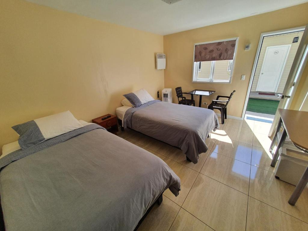 Hotel Willson - 5