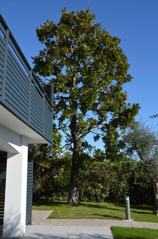 B&B Fior di Magnolia - 4
