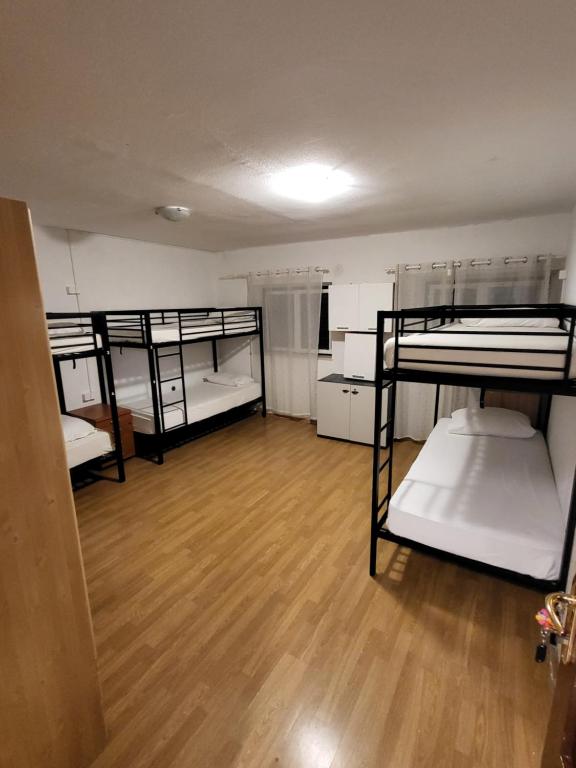 Hostel Hakuna Matata photo
