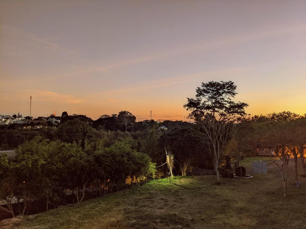 T&J Garden photo