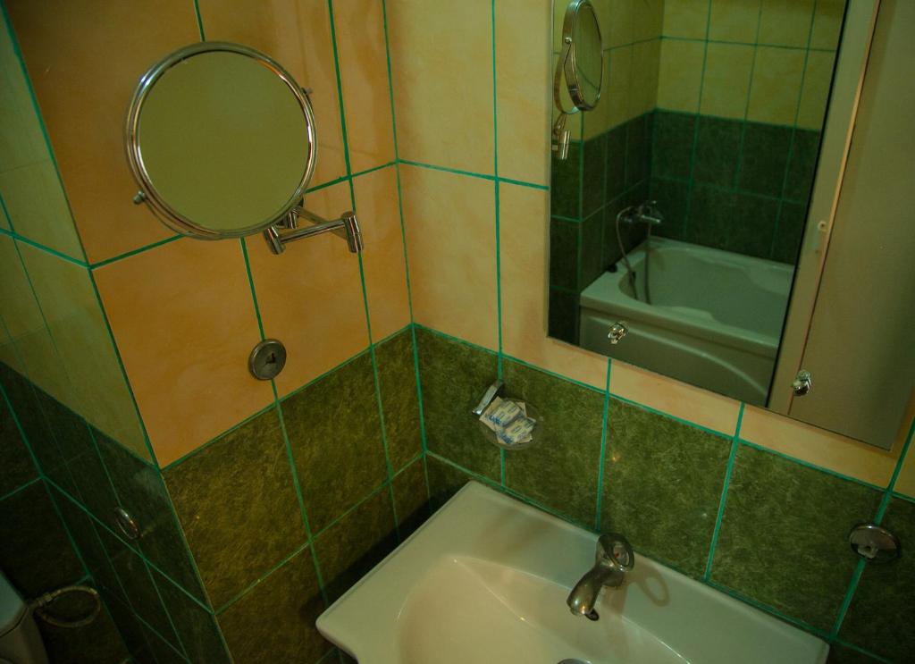 Hotel Vlasca photo