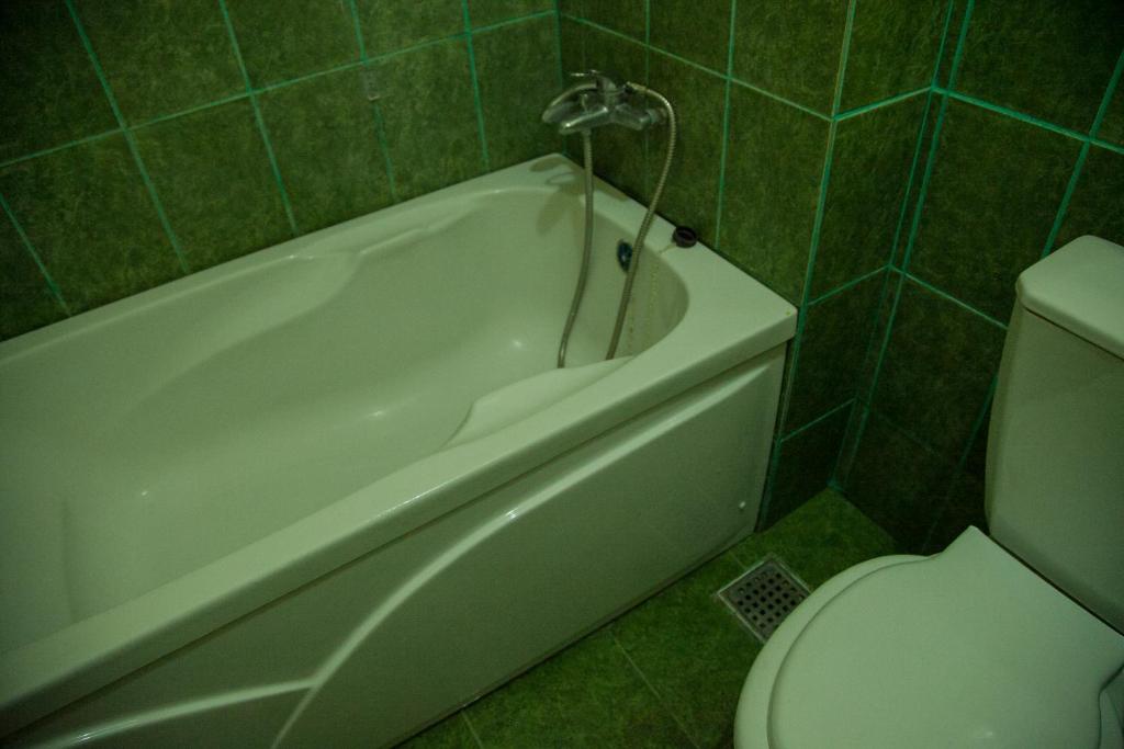 Hotel Vlasca photo