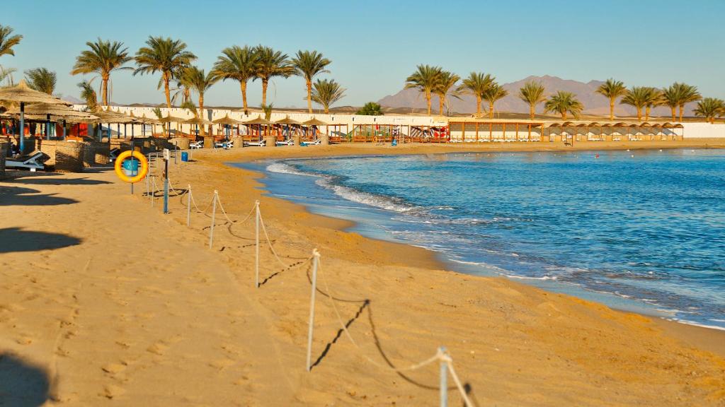 Coral Sun Beach photo