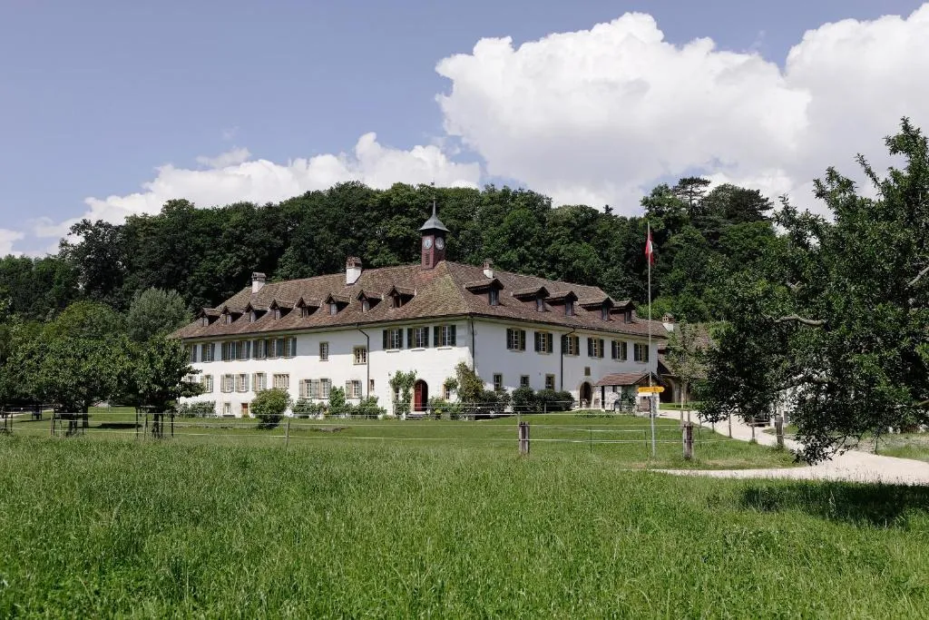 Hotel St Petersinsel，位于Sankt Petersinsel的酒店