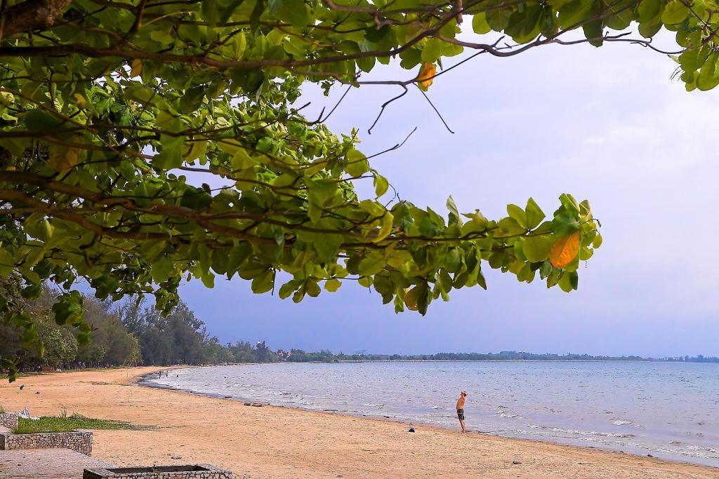 AA Residen Luxury Condo HOMESTAY near Tanjung Aru Beach & GOLF Course photo