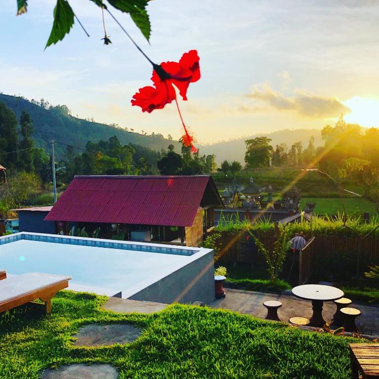 スイミングプール