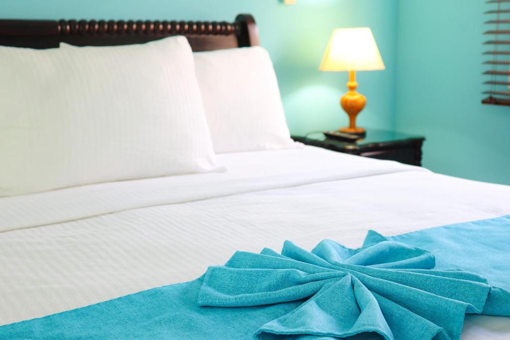 Hotel Victoriano photo