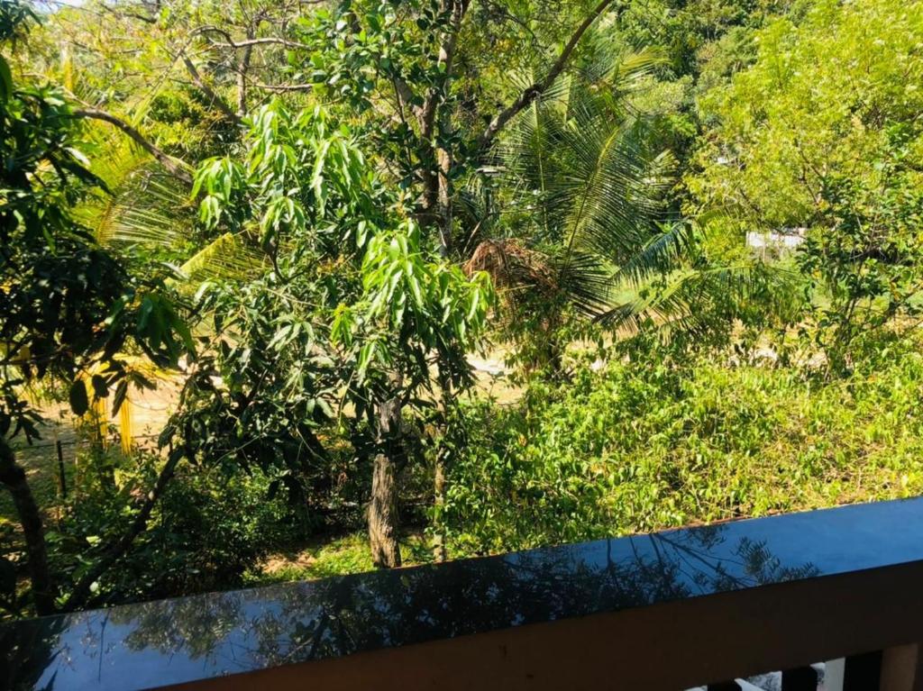 Nature View Villa photo