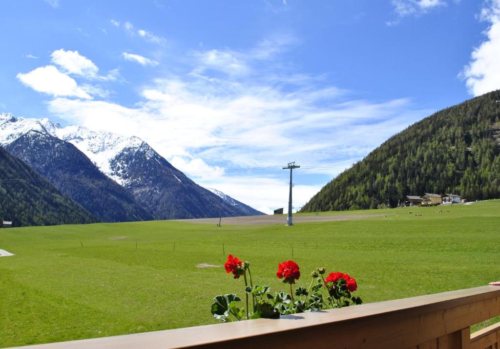 Großglockner Goldried Chalet - 2