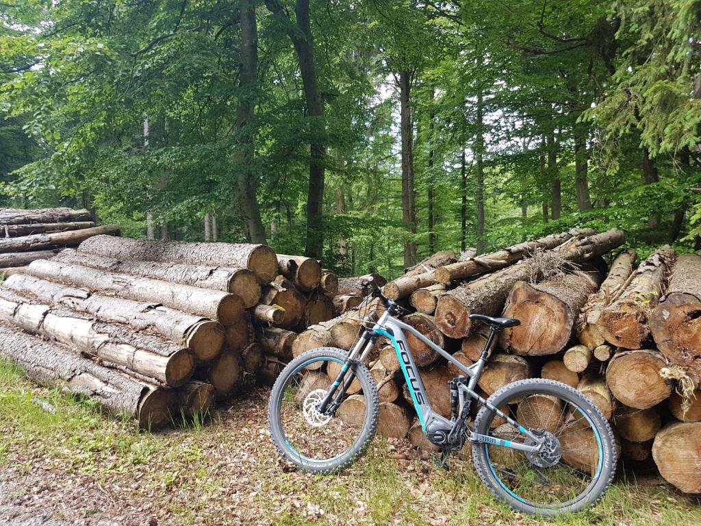 Sports and activities