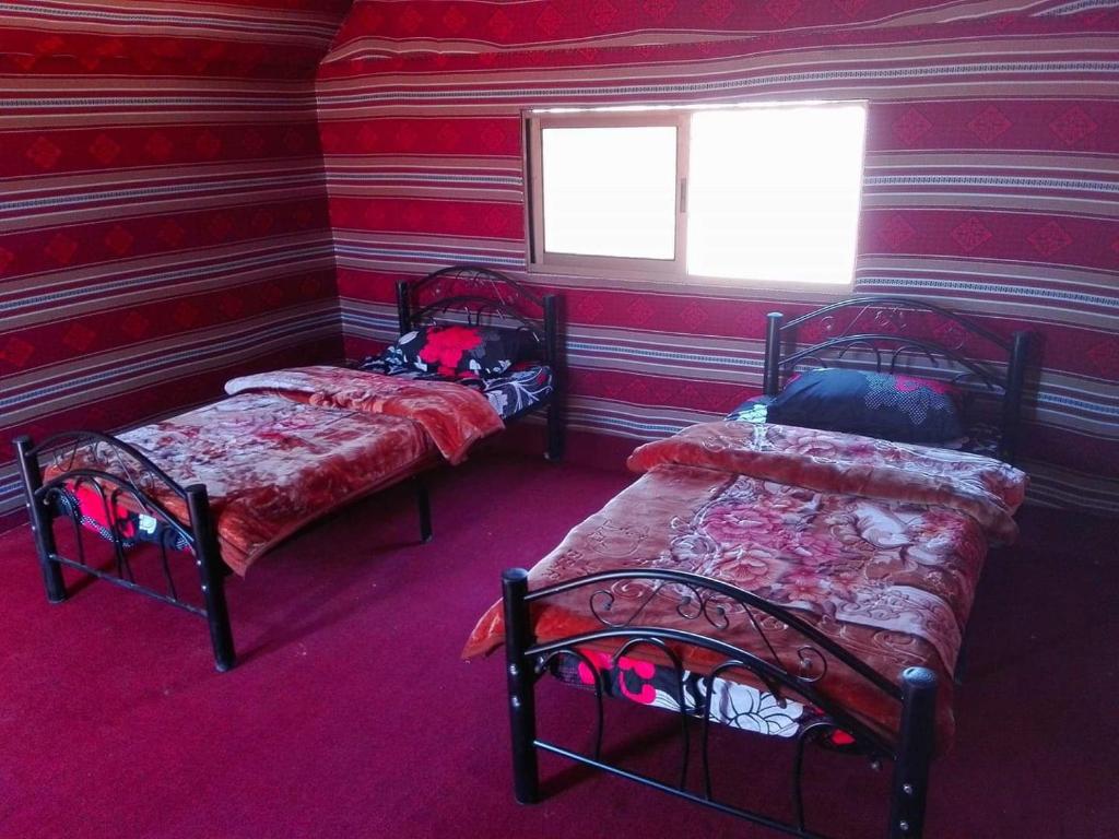 Wadi rum Local guide camp photo