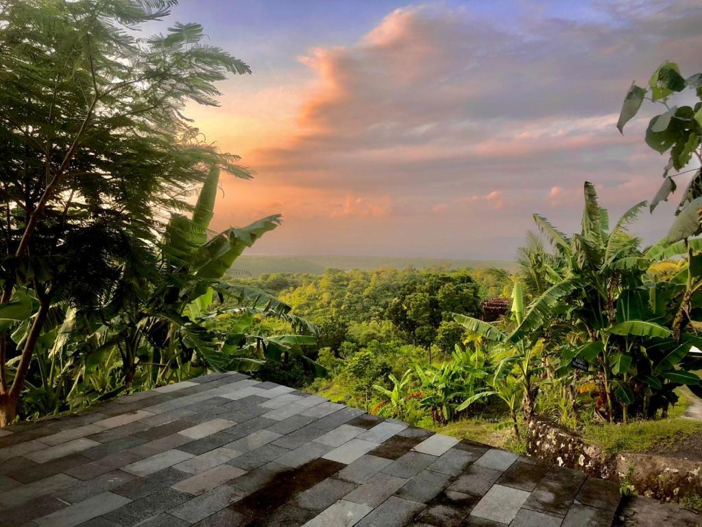 Arya resort nusa penida