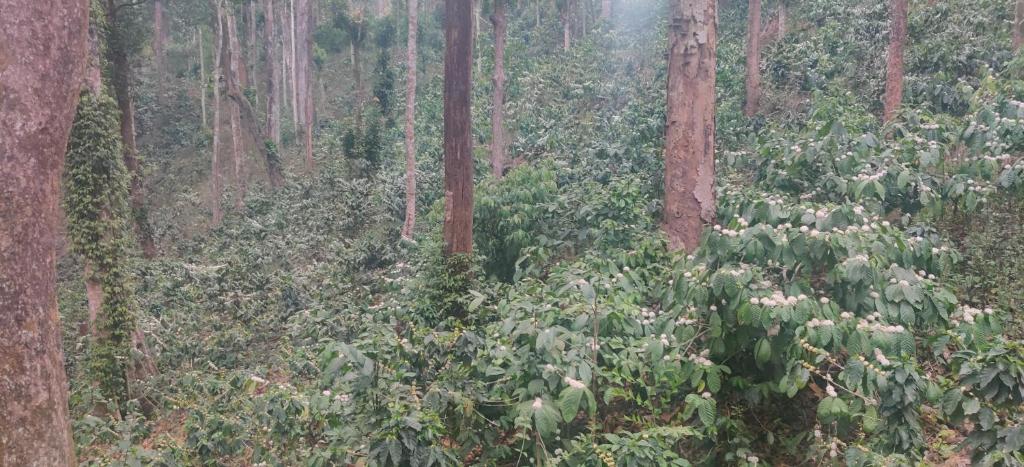 Surrounding environment