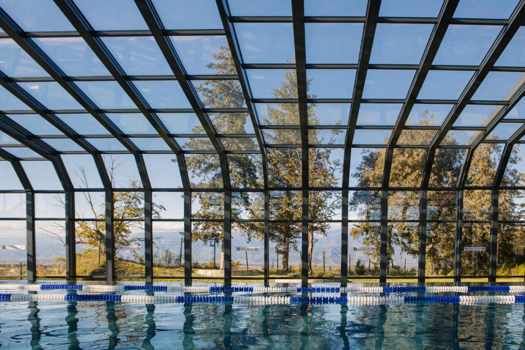 スイミングプール