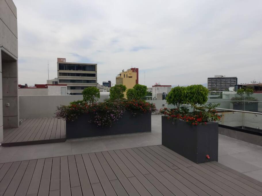 New Beautiful apartment near Reforma - 5