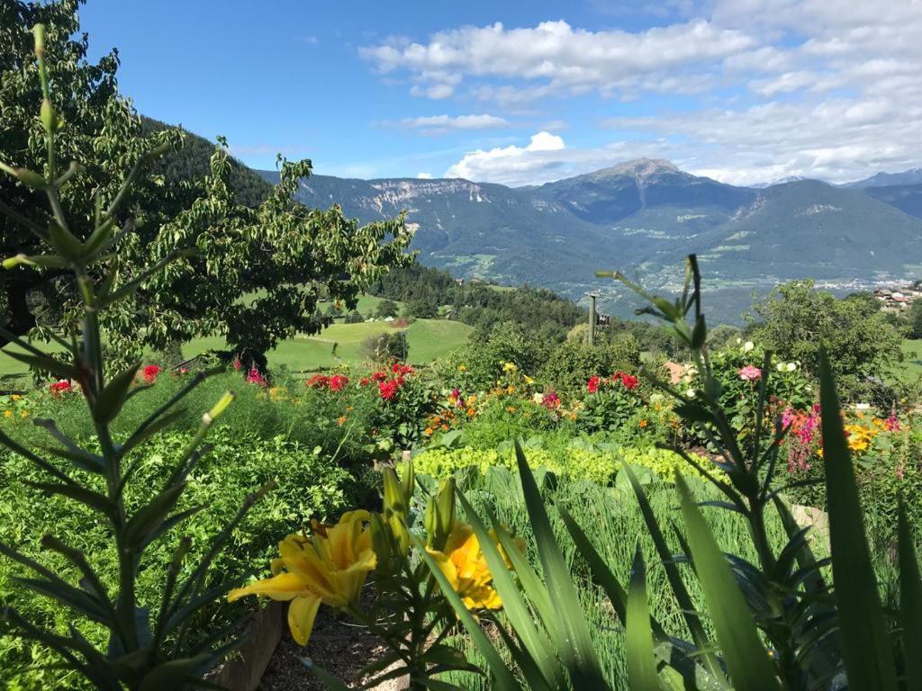 Alpenrose - 3