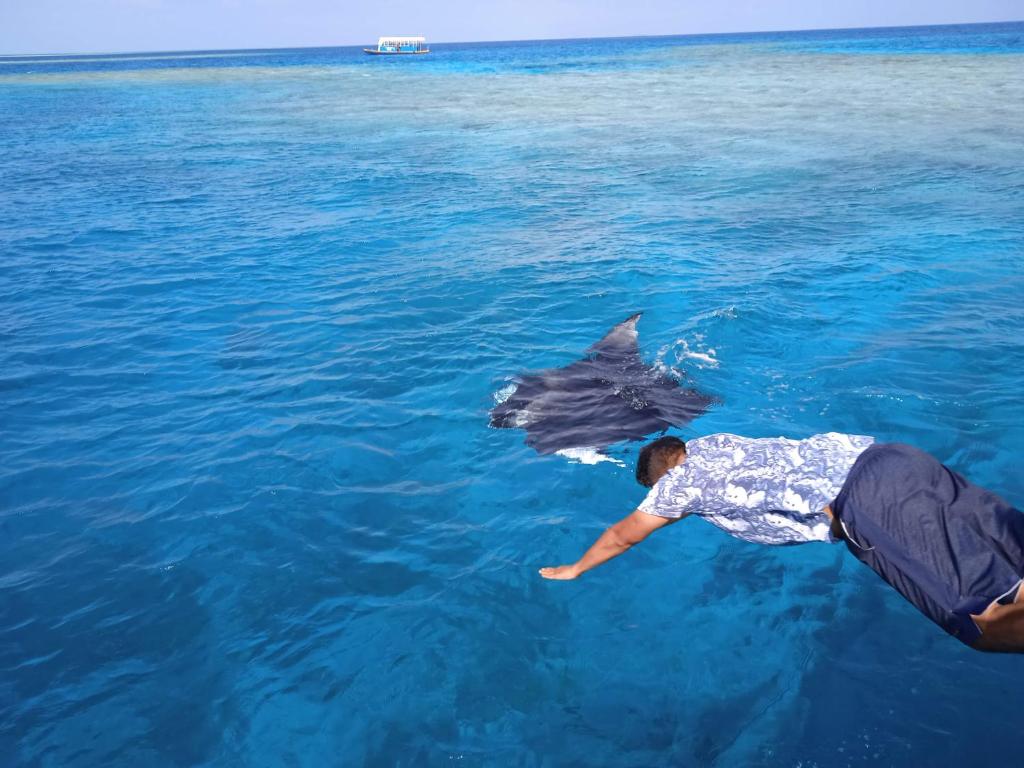 오션 웨이 구라이두