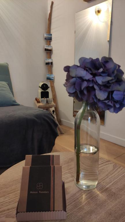 Dalhia Studio centre ville Biarritz - 4